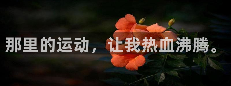 杏宇2登录入口