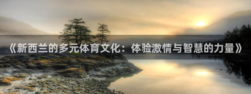 杏宇体育2官网入口