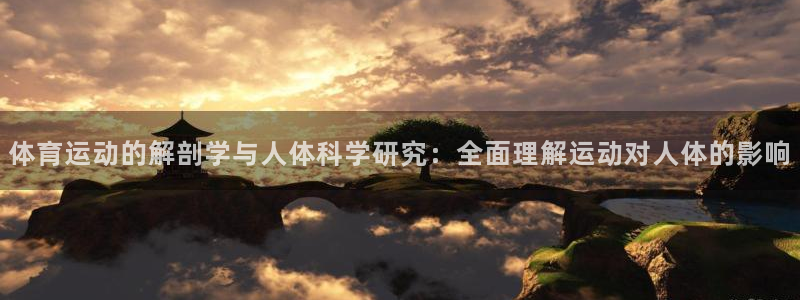 杏宇3代理