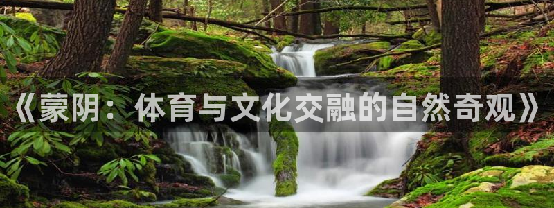 杏宇体育和杏耀是哪个公司的