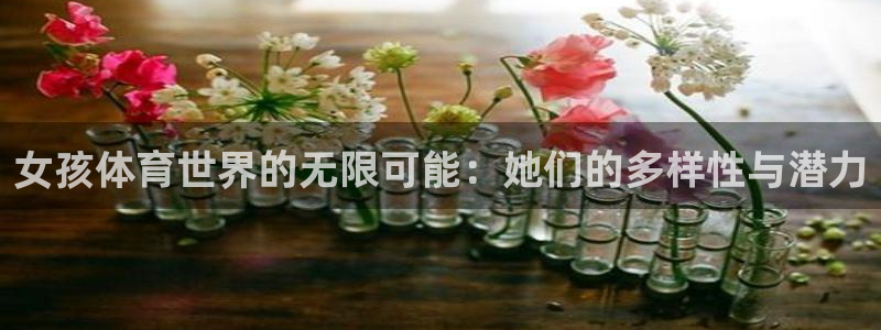 杏宇3官网登录