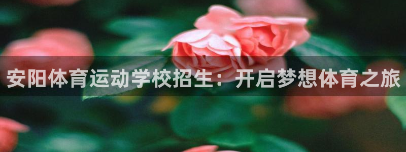 杏宇vk