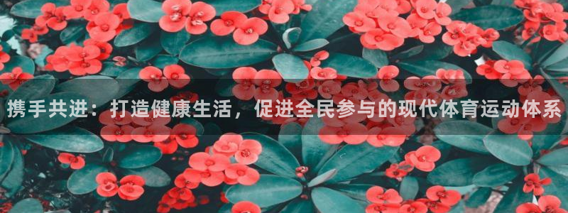 杏宇主管
