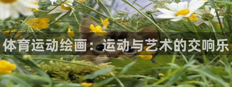 杏宇体育官网