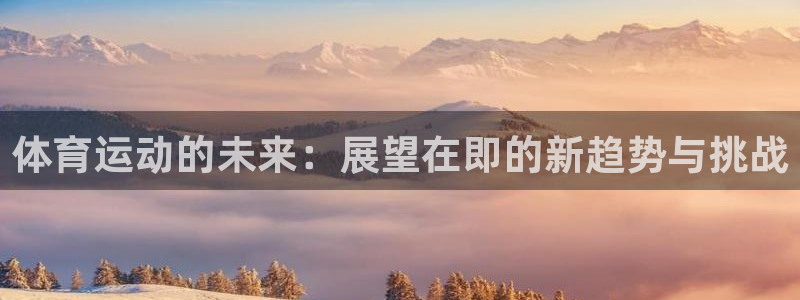 杏宇代理