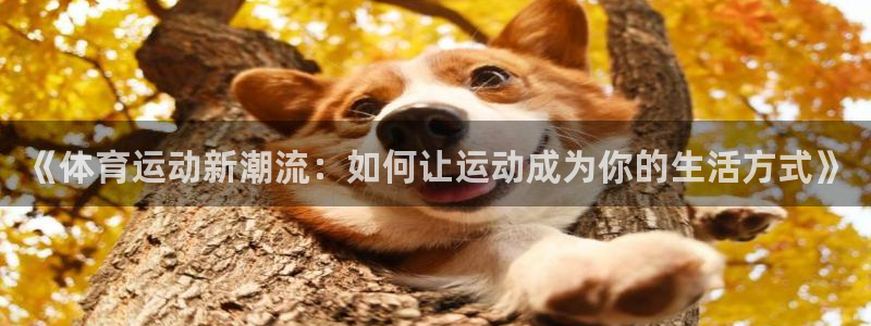 杏宇体育f开号