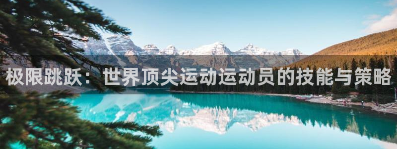 杏宇官网