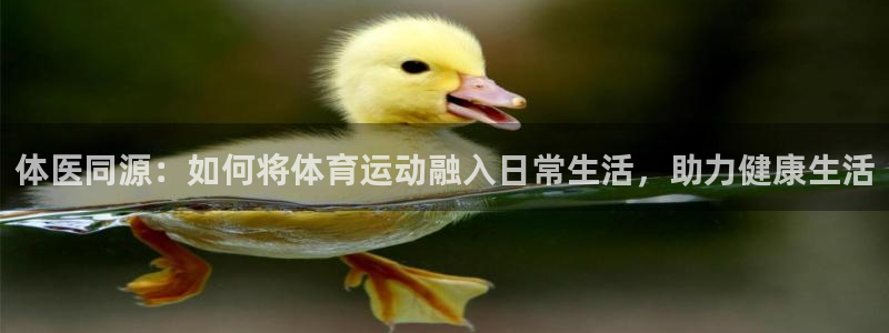 杏宇平台开户链接