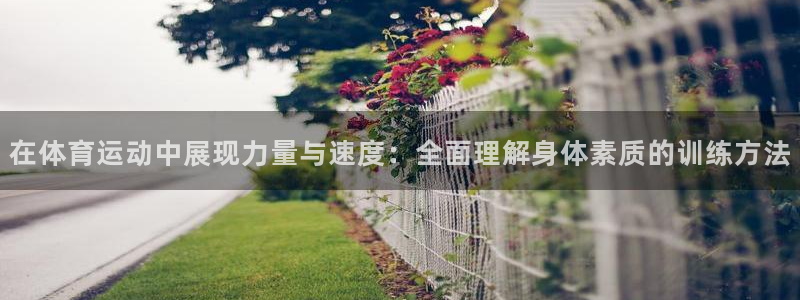 杏宇3平台注册