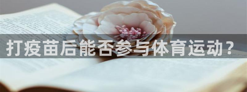 杏宇注册平台登录