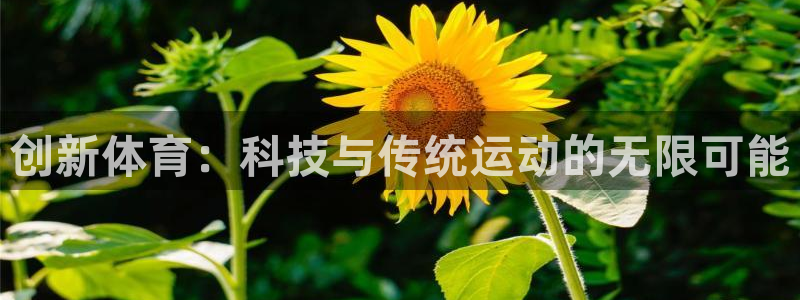 杏宇体育游戏