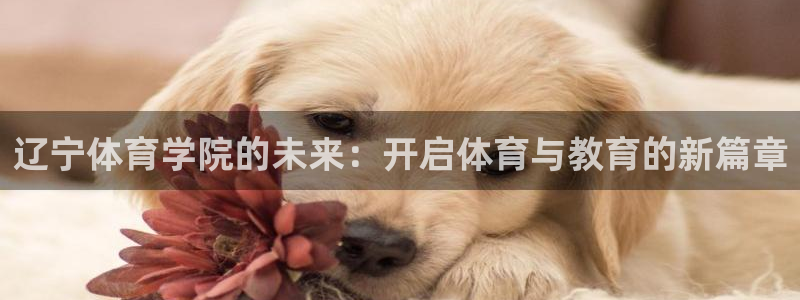 杏宇体育凯捷平台主管