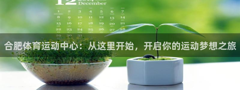 杏宇平台注册