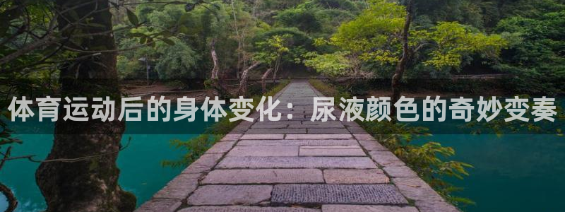 杏宇体育官网