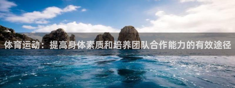 福建杏宇机电股份公司