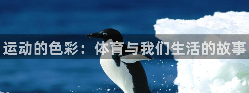 www.杏宇体育.com