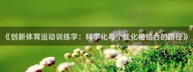 杏宇代理