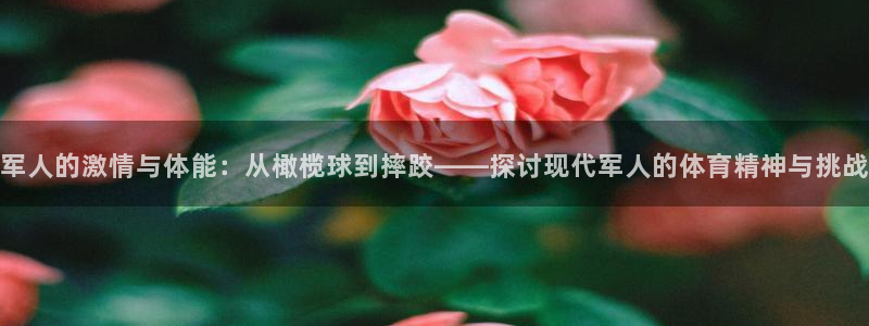 杏宇能源