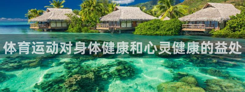 杏宇3登陆
