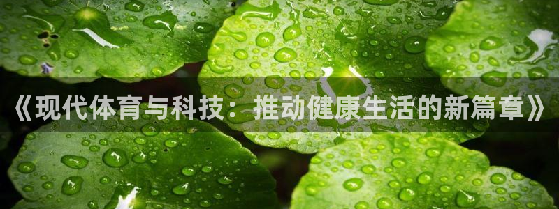 杏宇体育凯捷平台注册