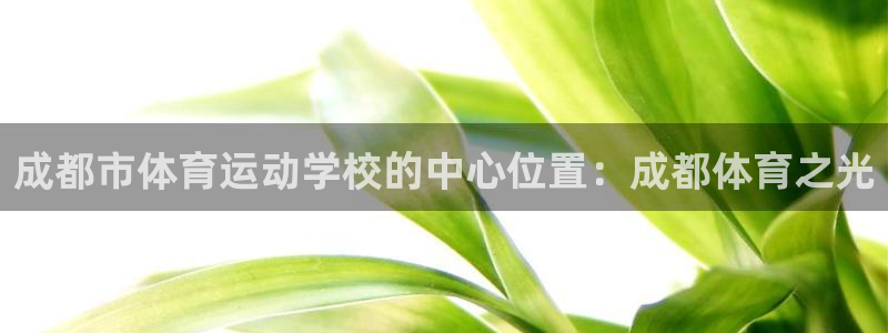 杏宇体育3在线注册