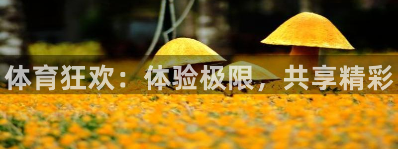 福建杏宇机电股份公司