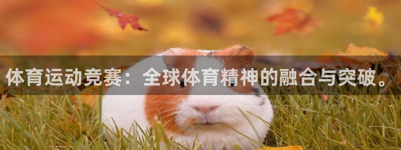 杏宇体育游戏