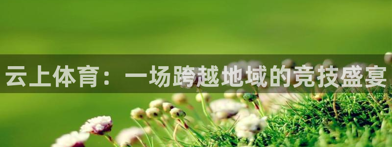 杏宇4官网
