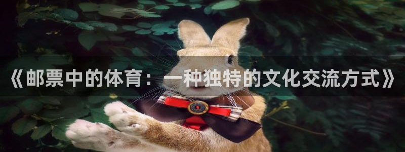杏宇主管