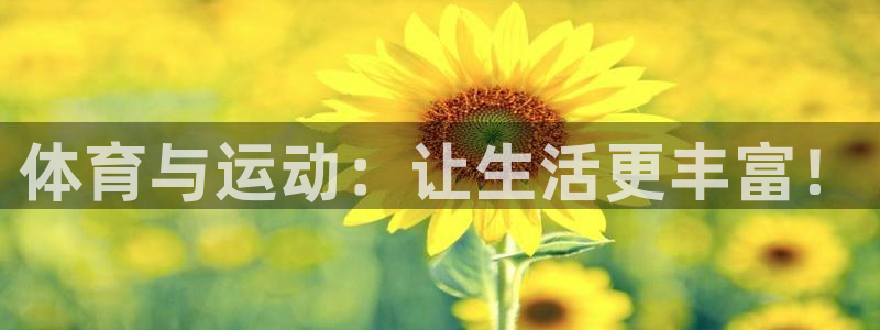 杏宇体育
