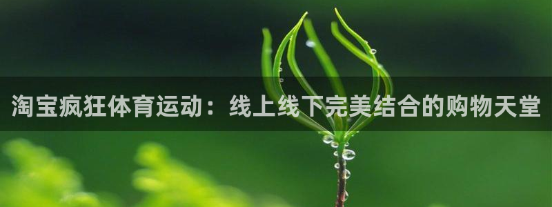 杏宇体育凯捷平台主管
