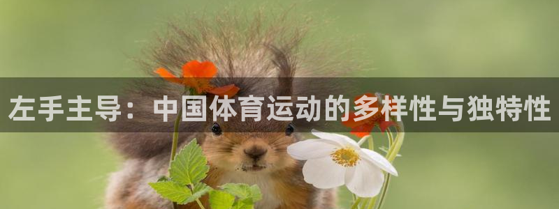 杏宇3登陆