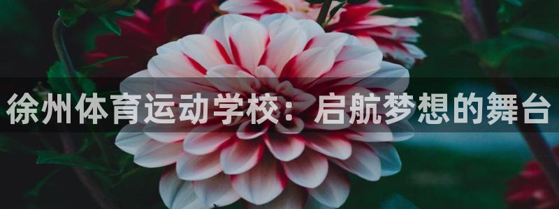 杏宇kgame