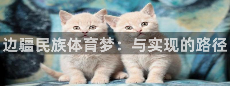 杏宇体育凯捷平台主管