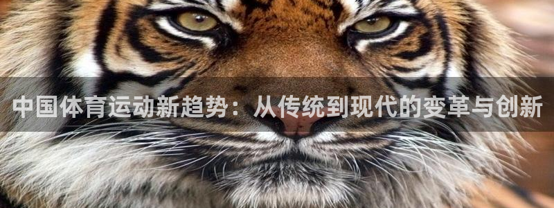 杏宇3注册