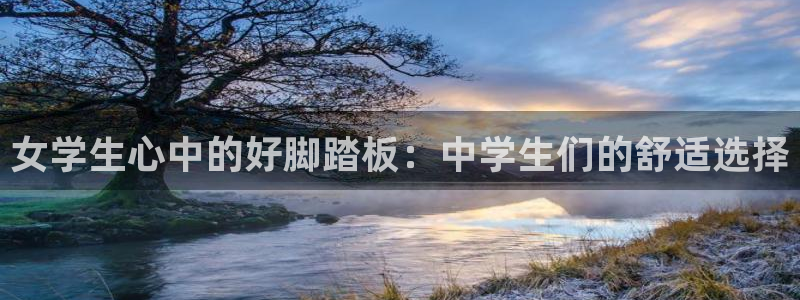 杏宇3代理