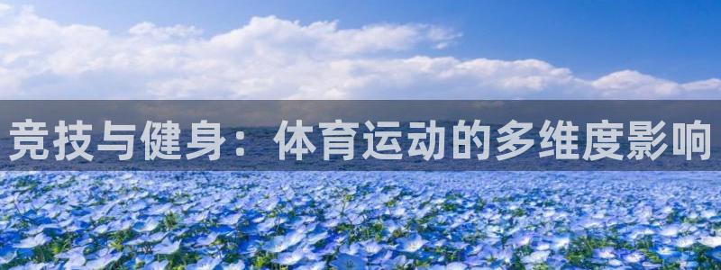 杏宇2平台注册