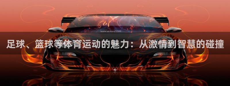 杏宇注册平台登录