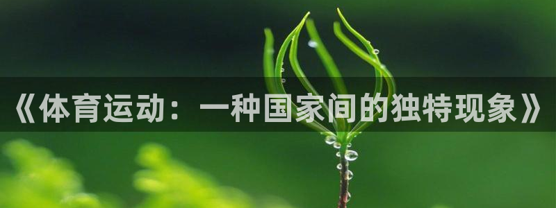 杏宇平台