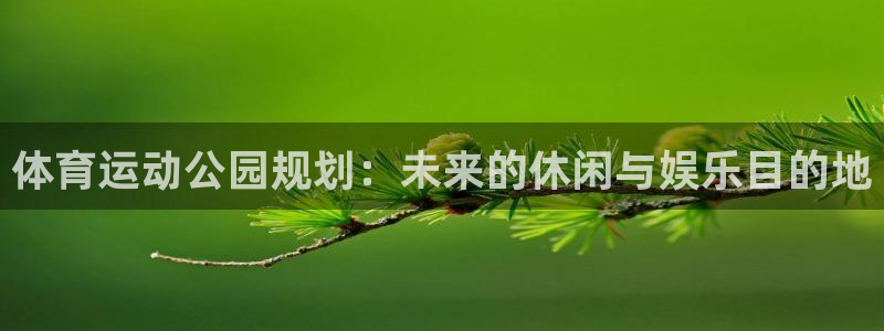 杏宇体育凯捷平台主管