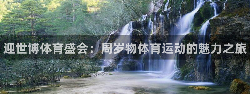 杏宇3官网